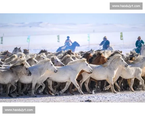 锡林郭勒蒙古马超级联赛总决赛燃情开赛 万马奔腾演绎草原速度与激情