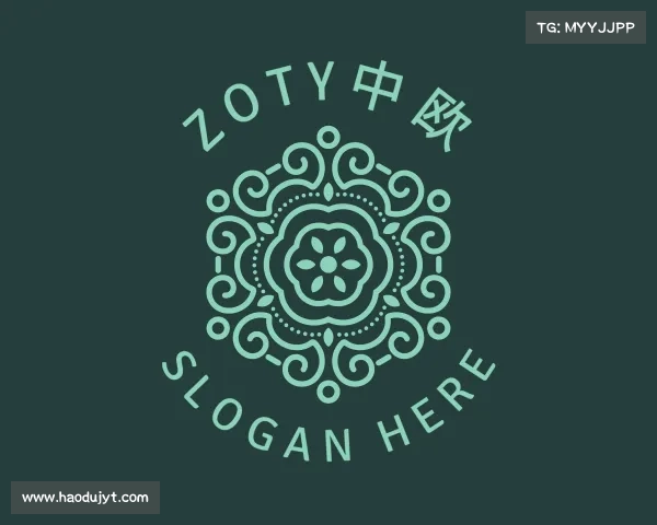 介绍zoty中欧